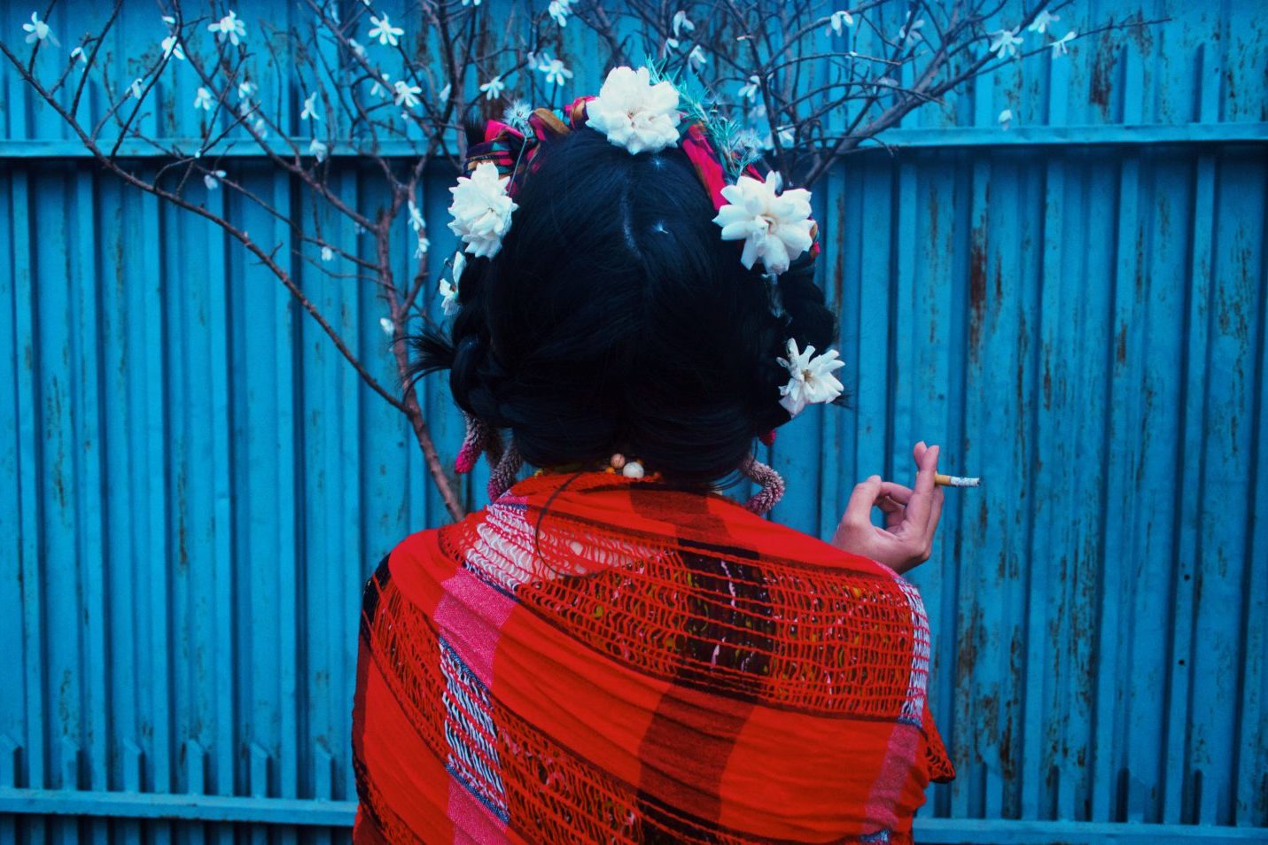 Culture & Traditional